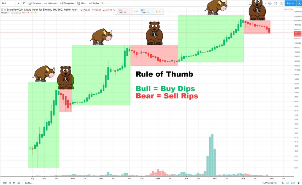 Chart graphic with bull and bear icons highlighting market phases and trading rules on a price timeline.